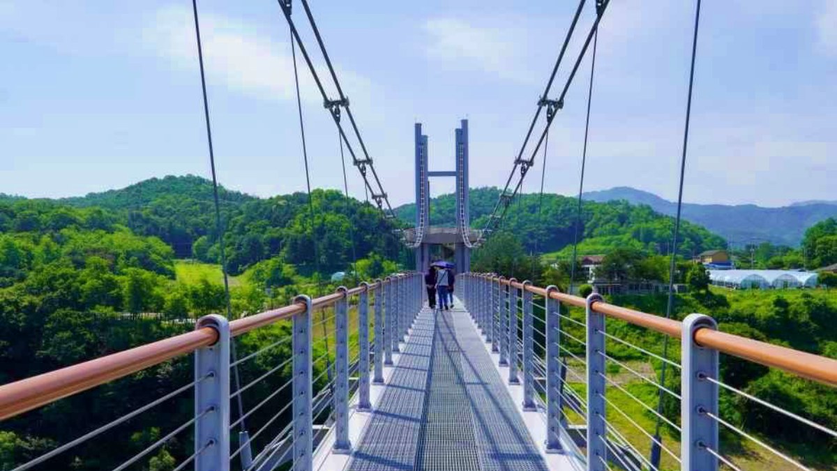 한탄강 베개용암 출렁다리 위 풍경 / 사진=한국관광콘텐츠랩
