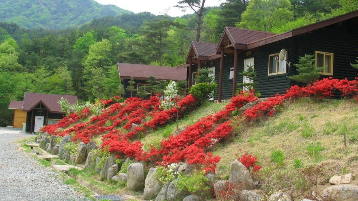 오도산자연휴양림 숲속의집 / 사진=숲나들e
