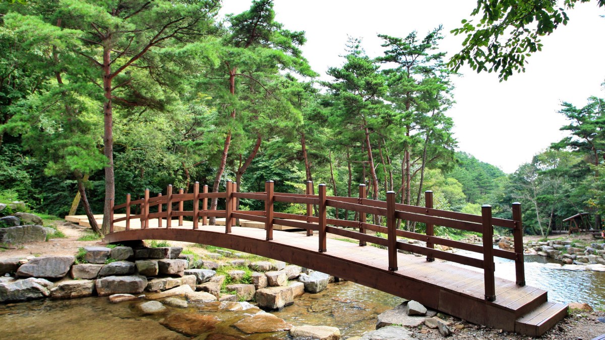 오도산자연휴양림 다리 / 사진=숲나들e