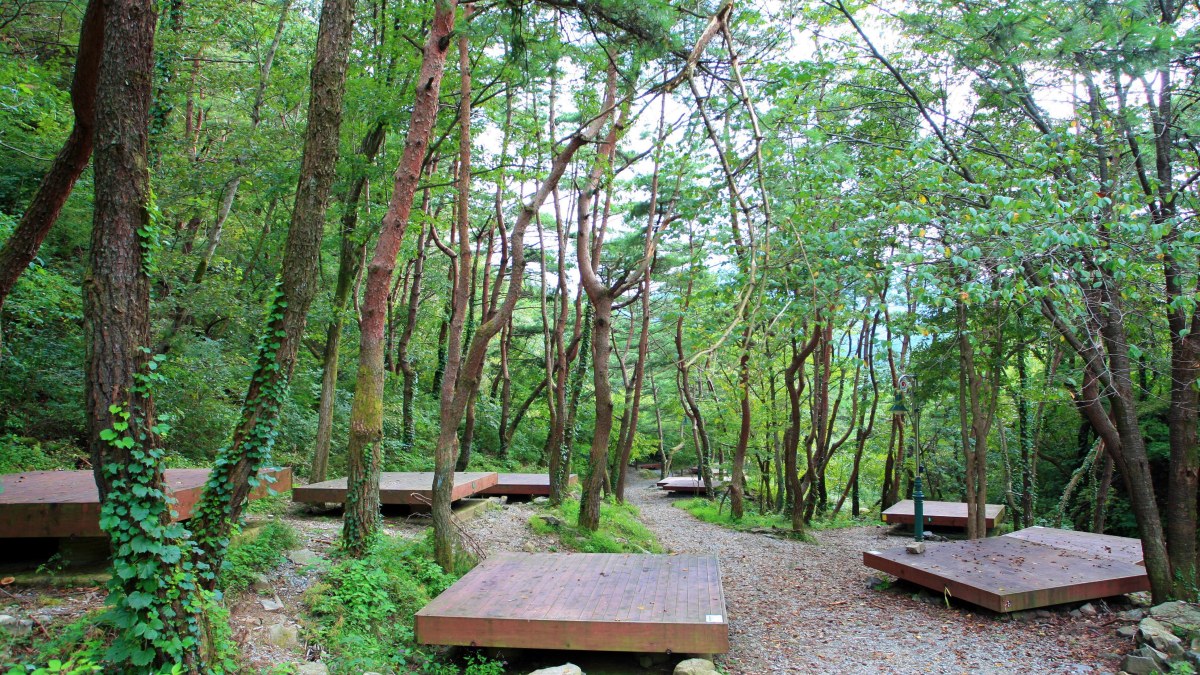 오도산자연휴양림 야영데크 / 사진=숲나들e