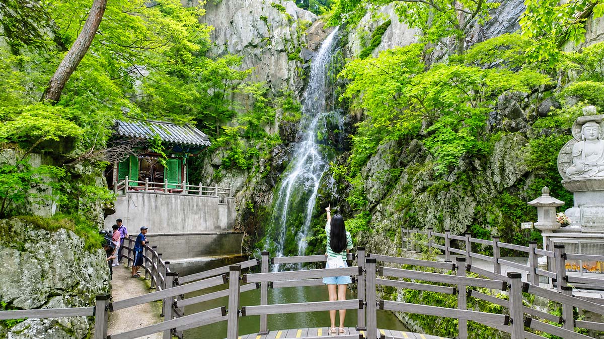 홍룡사 여름