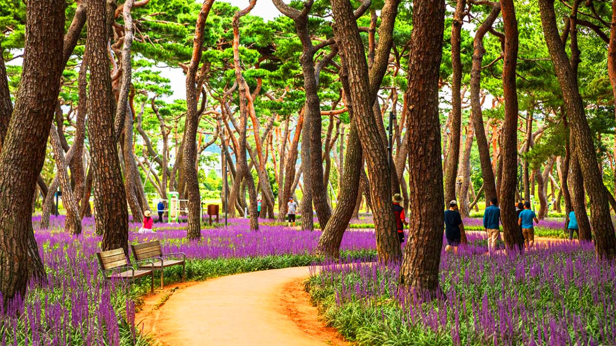 황성공원 산책길