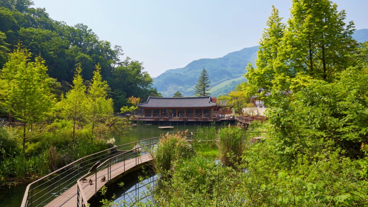 화담숲 풍경 / 사진=화담숲