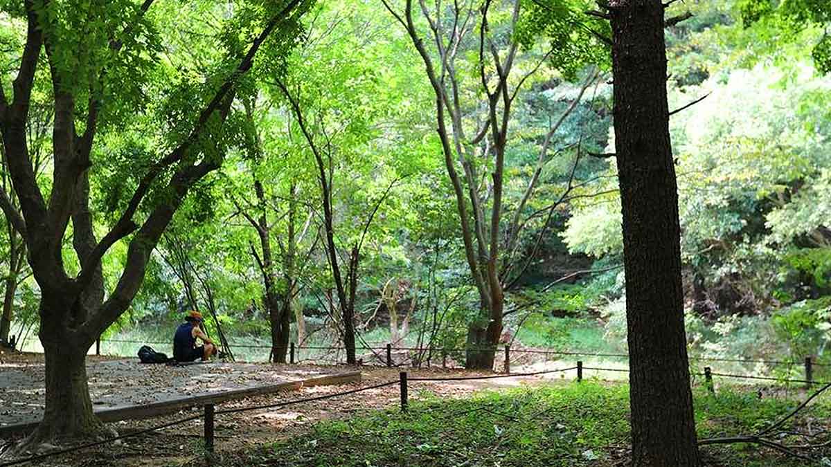 속리산 세조길