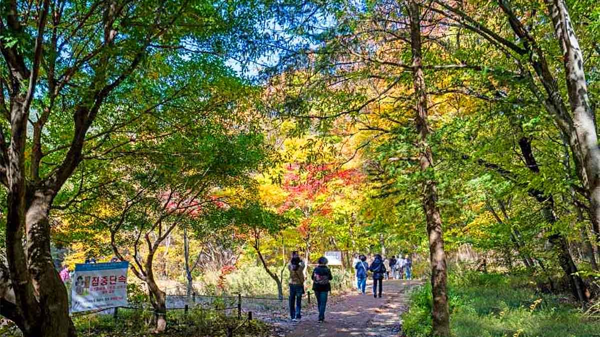 법주사 속리산 세조길 / 사진=한국관광공사 이범수