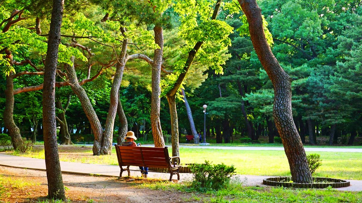 황성공원