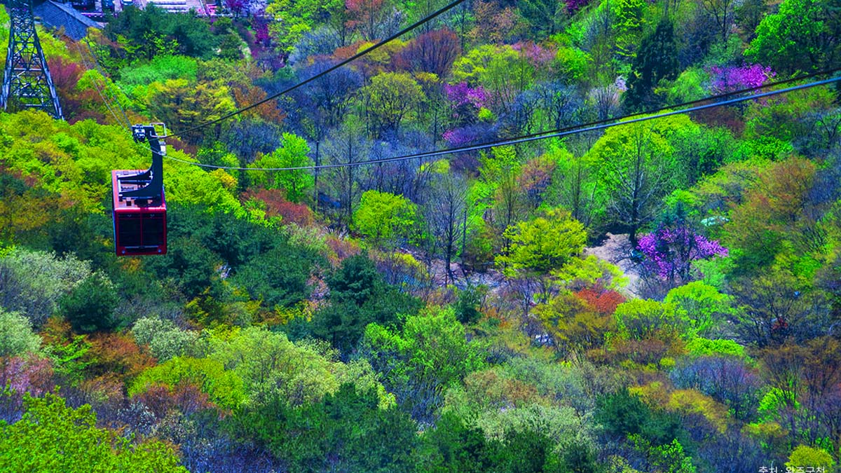 대둔산 케이블카