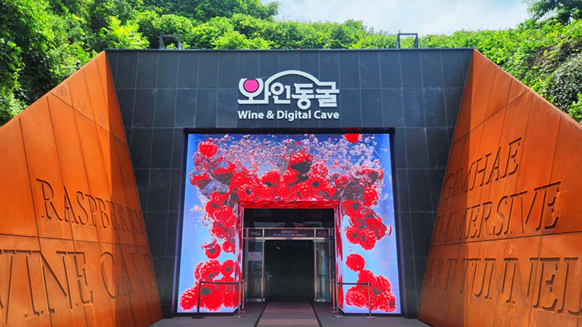 와인동굴 전경