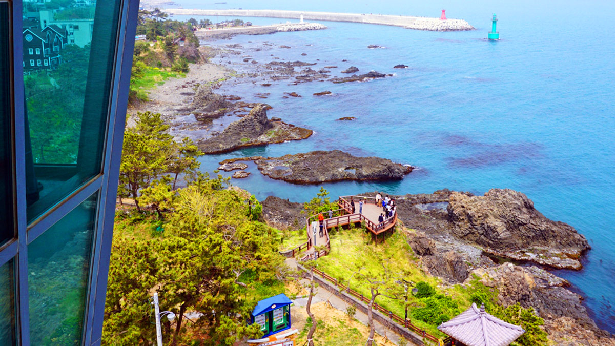 전망대에서 보는 양남 주상절리군