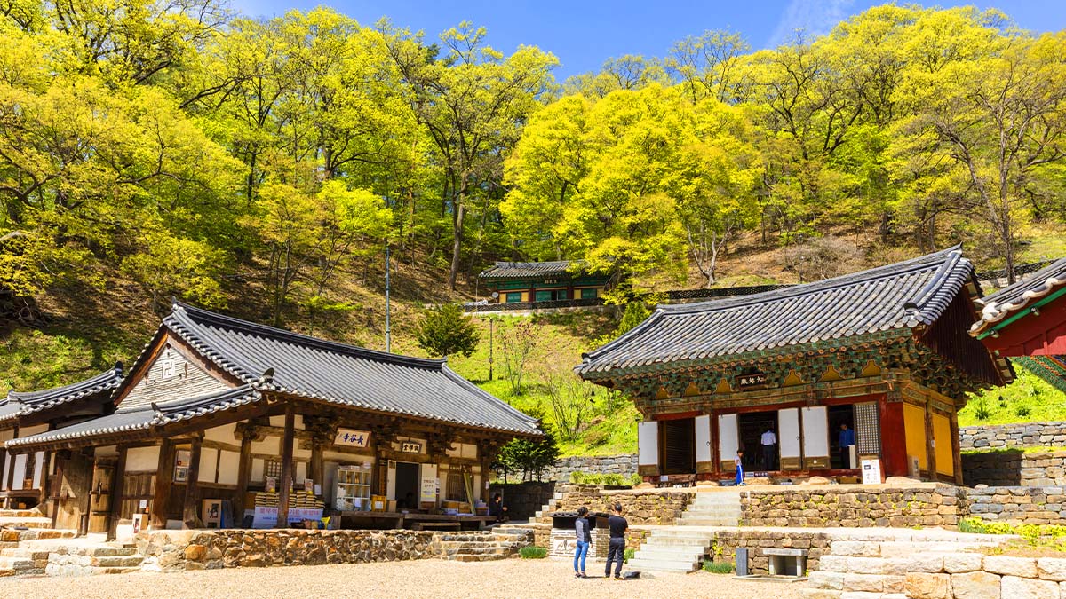 장곡사