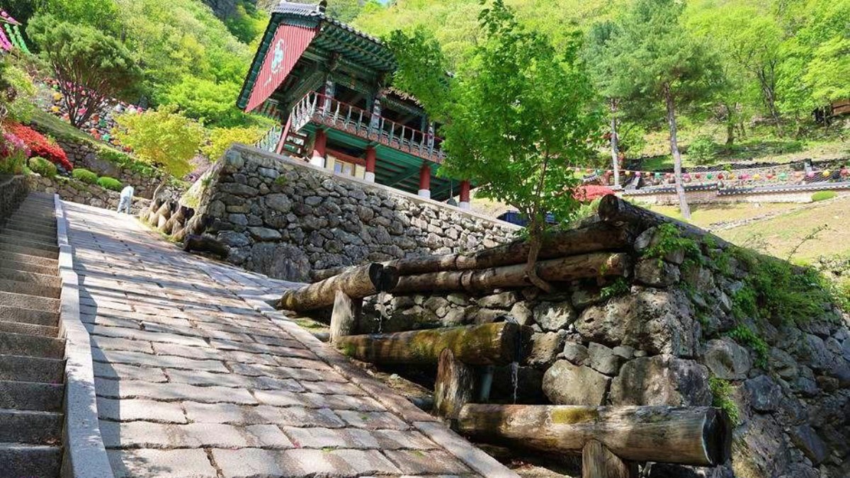 청량사 가는 길 / 사진=한국관광콘텐츠랩