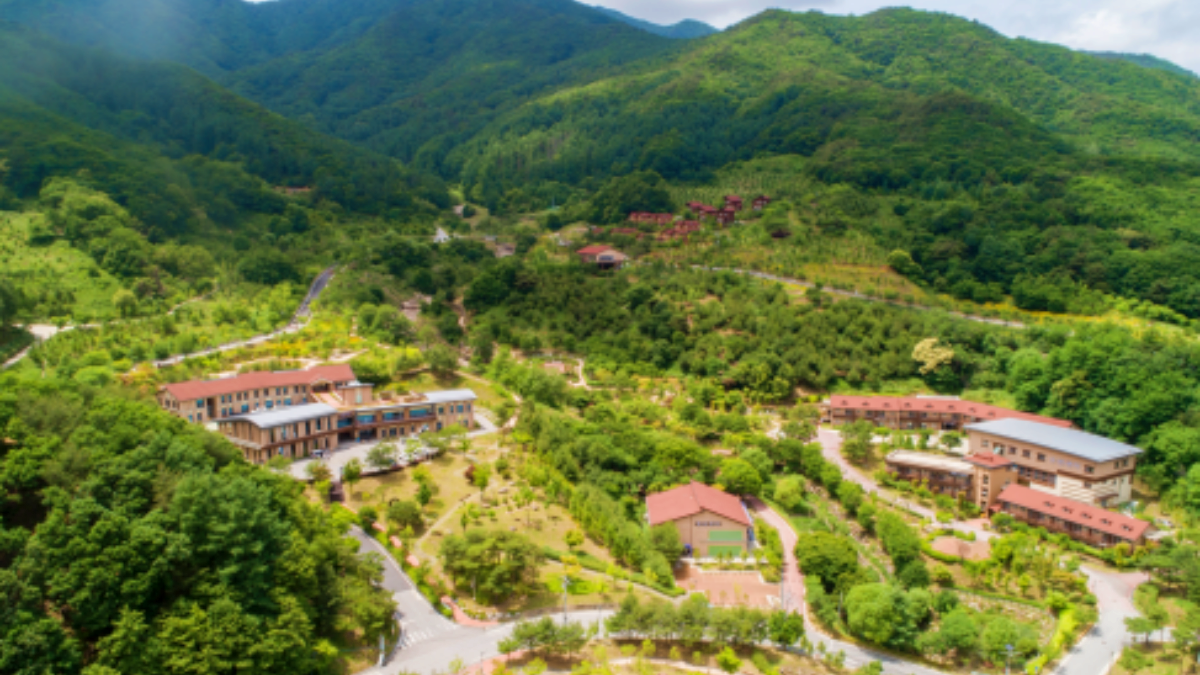 영주국립산림치유원 풍경 / 사진=영주국립산림치유원