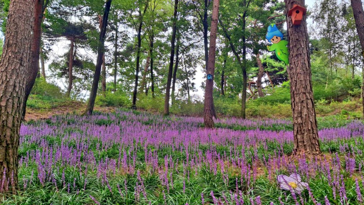 원주 동화마을수목원 / 사진=한국관광콘텐츠랩