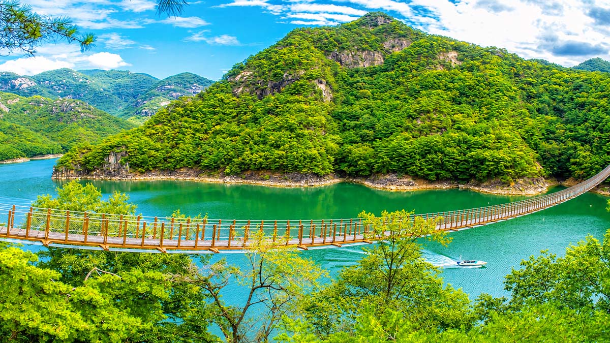옥순봉 출렁다리