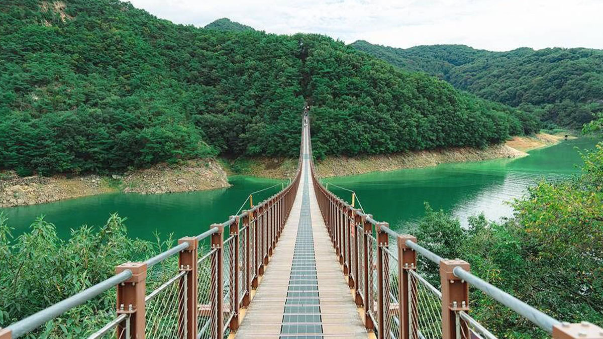 옥순봉 출렁다리 풍경