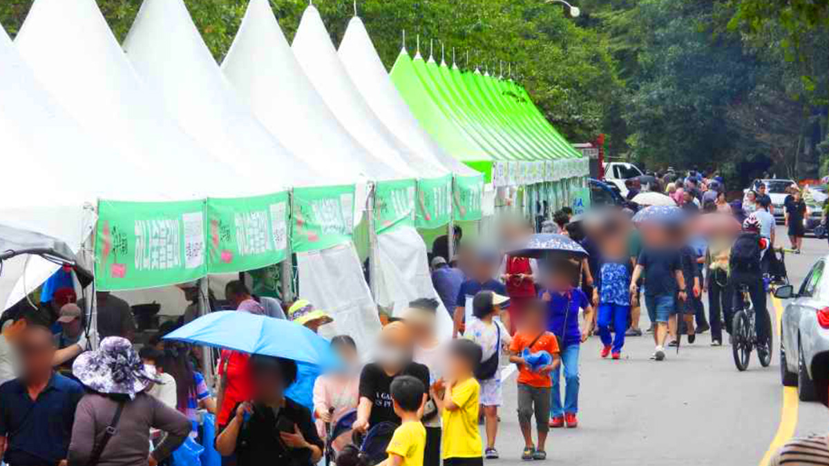 함평 모악산 꽃무릇축제
