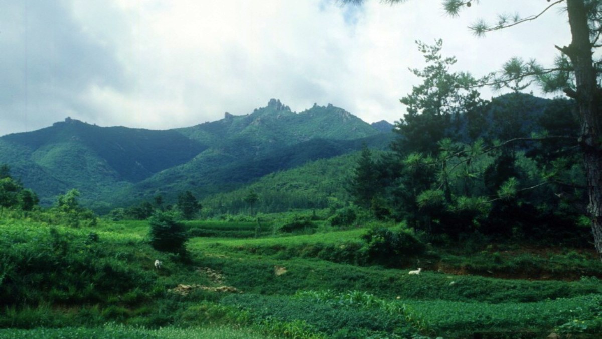 천관산도립공원 풍경 / 사진=한국관광콘텐츠랩