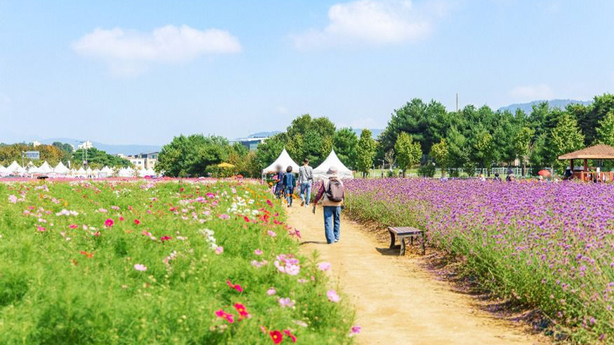 양주나리농원 산책로