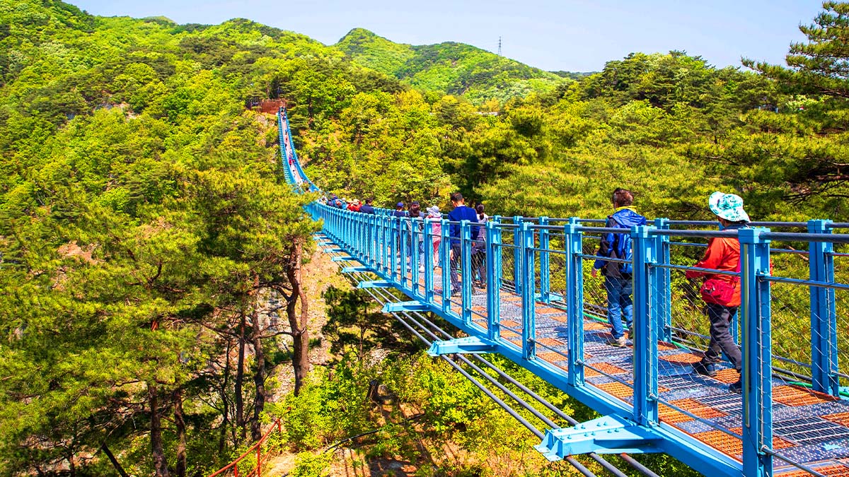 소금산그랜드밸리 출렁다리