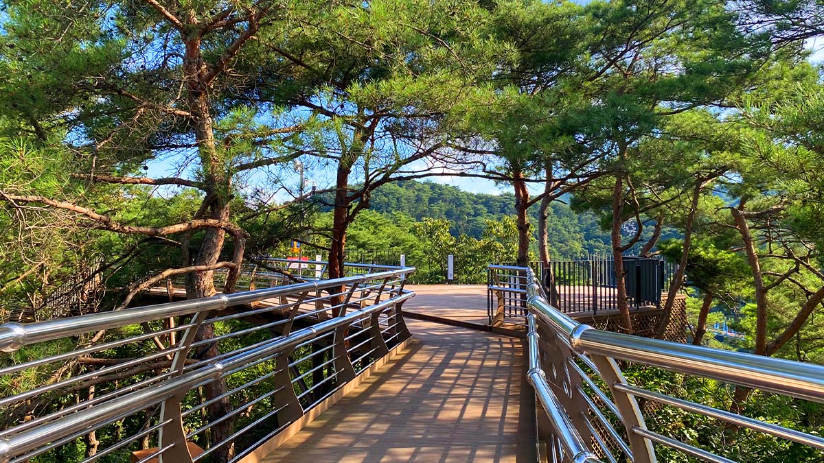 소금산그랜드밸리 데크산책로