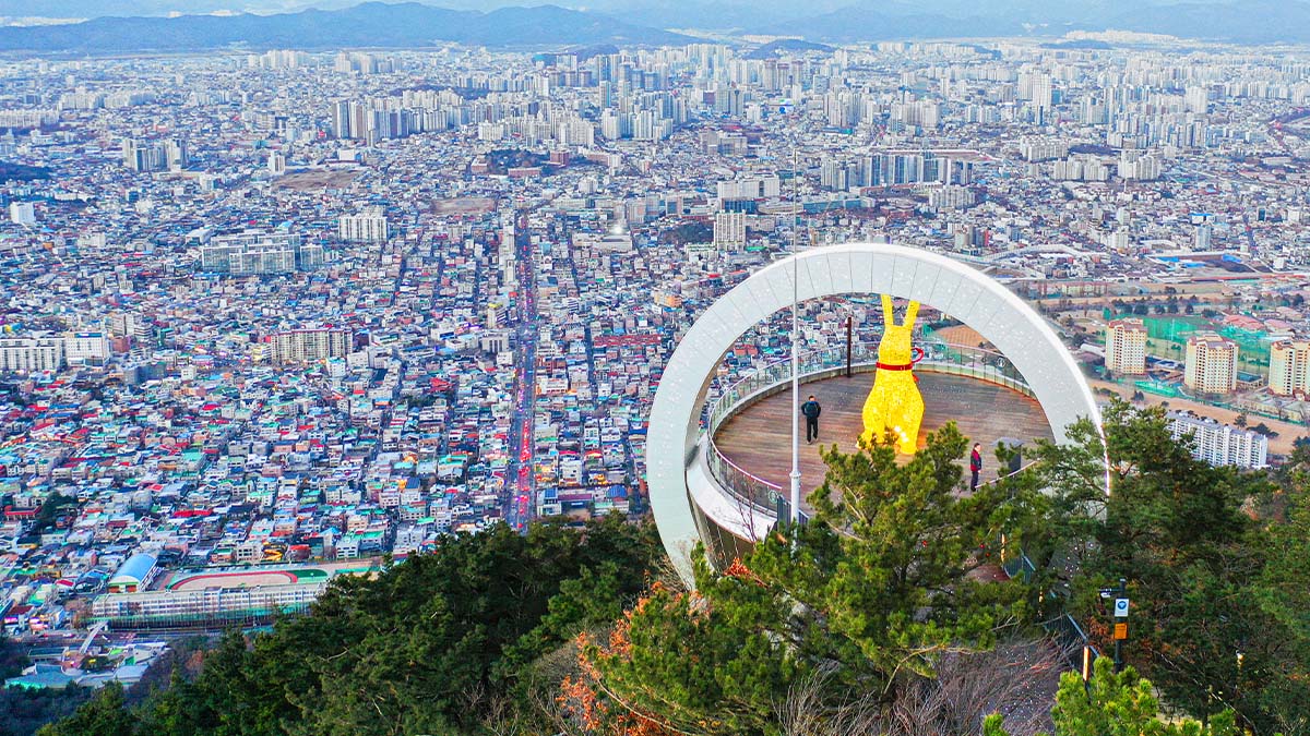 앞산전망대 도시뷰