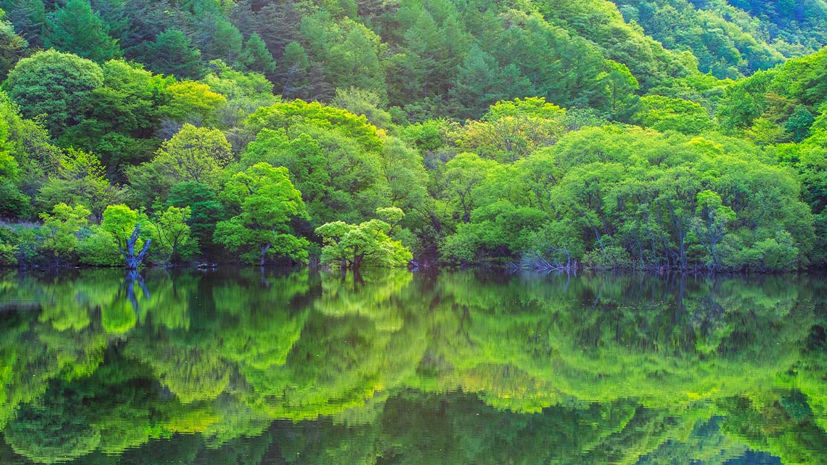 주왕산국립공원 주산지