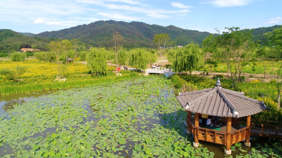 거창 창포원 모습 / 사진=거창 창포원