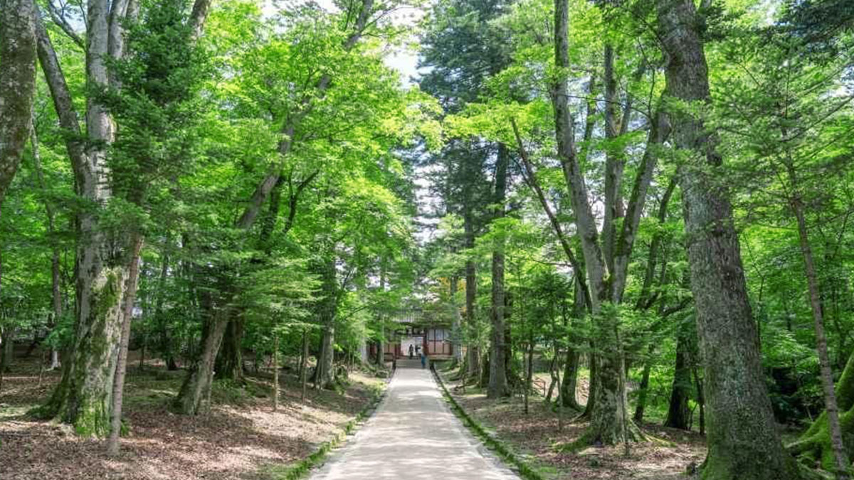 해인사 숲길