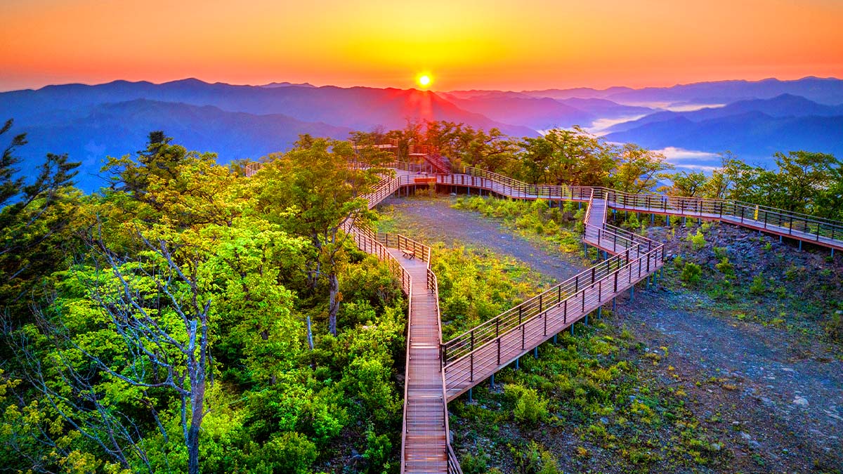 가리왕산케이블카 데크로드