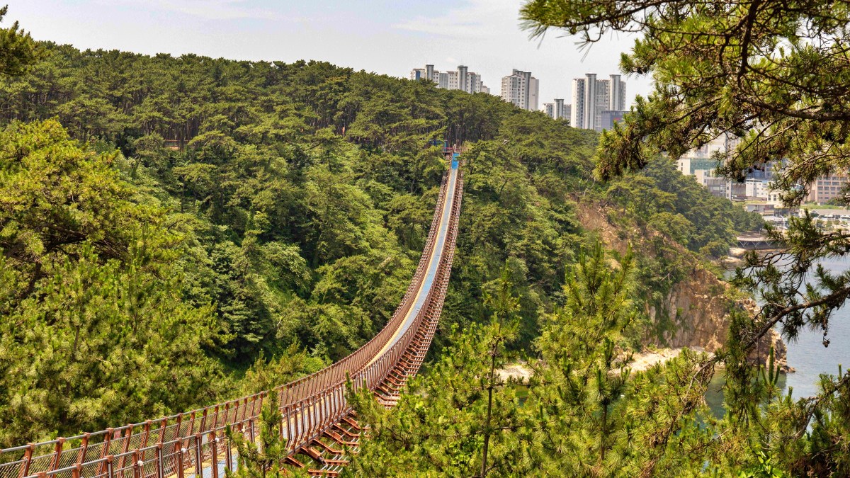 울산 대왕암공원 출렁다리 풍경 / 사진=한국관광공사 장정수