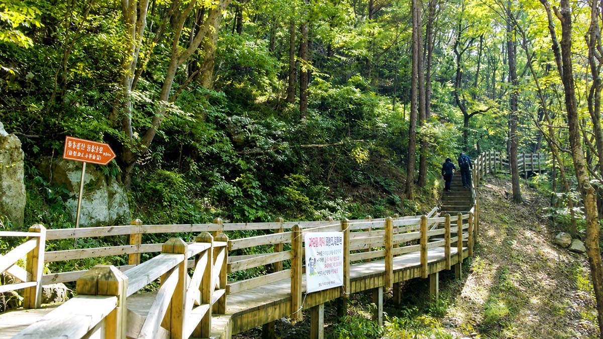 동대봉산 무장봉 탐방로