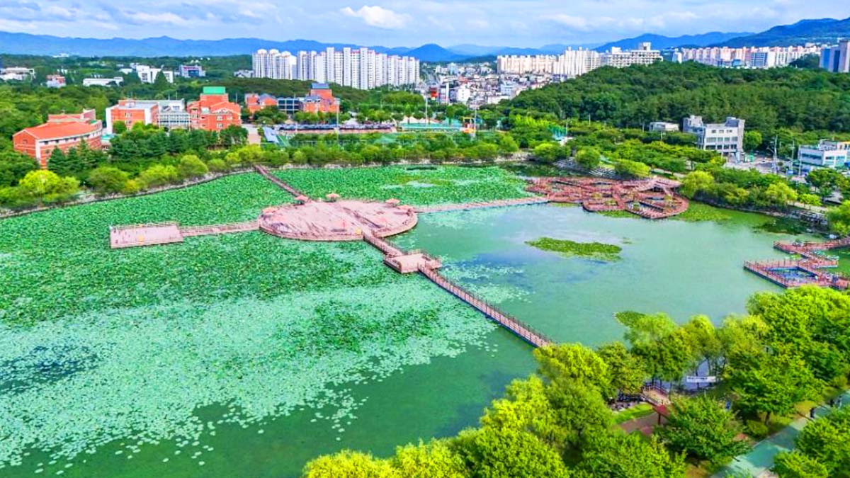 경산 남매근린공원, 연잎과 야경이 아름다운 도심 수변공원