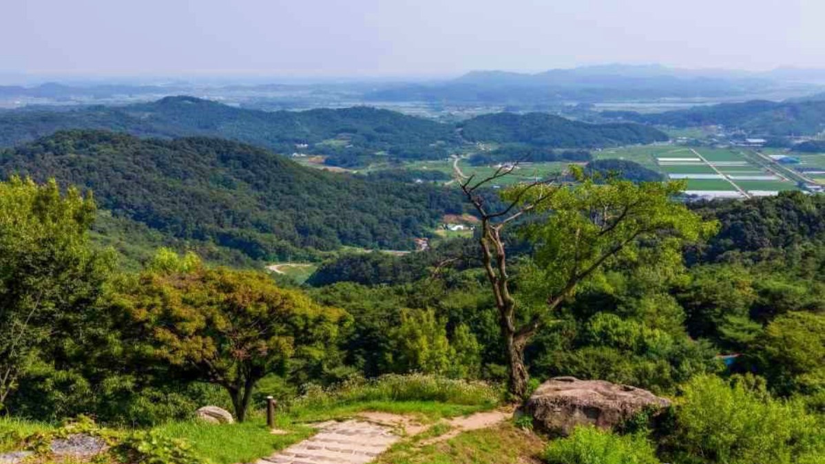 정상부에서 바라보는 풍경 / 사진=한국관광콘텐츠랩