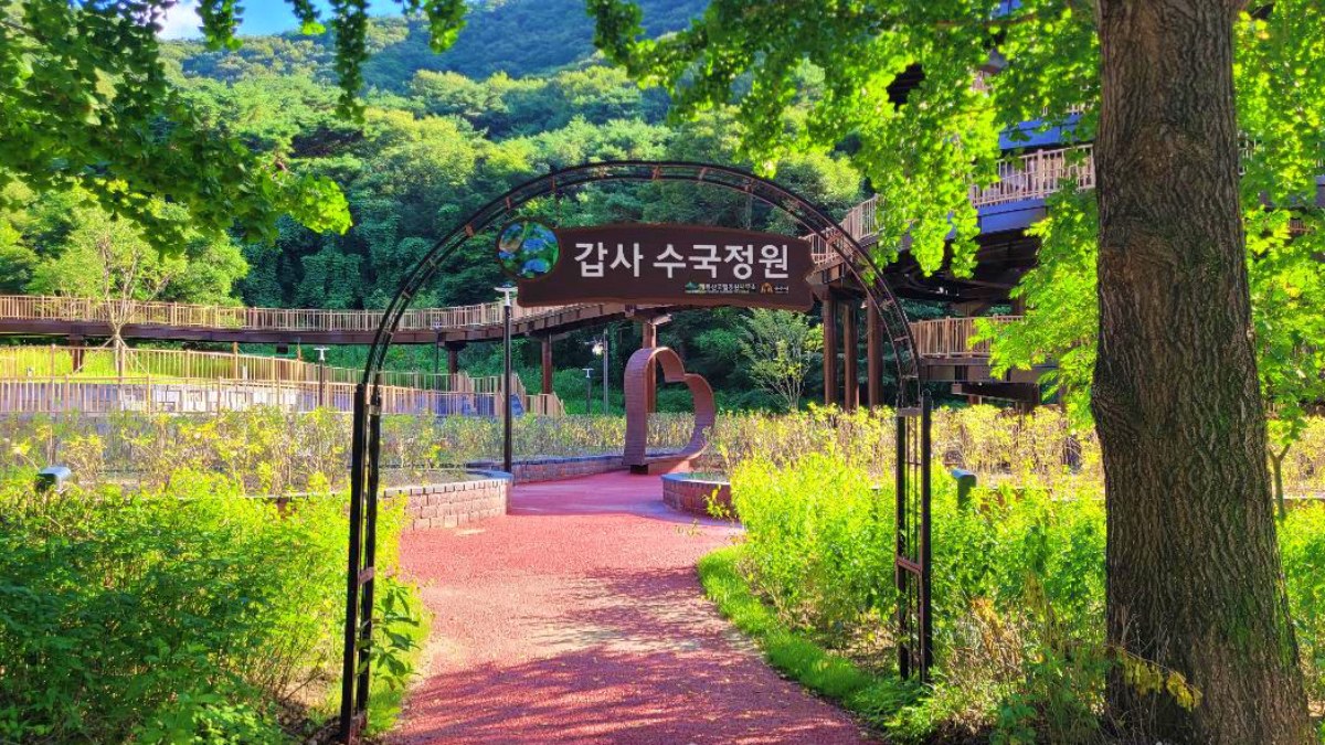 갑사마루 수국원 / 사진=충청남도청