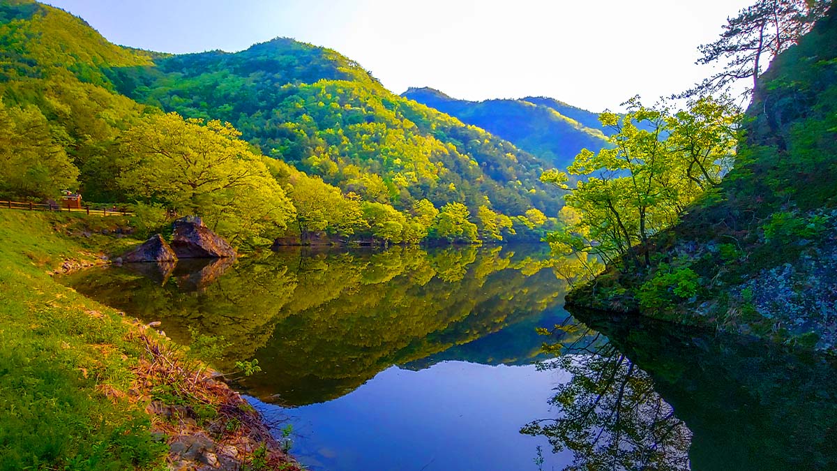 주산지 풍경