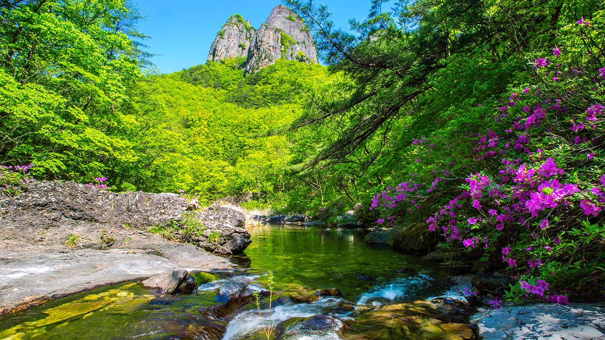 주왕산국립공원