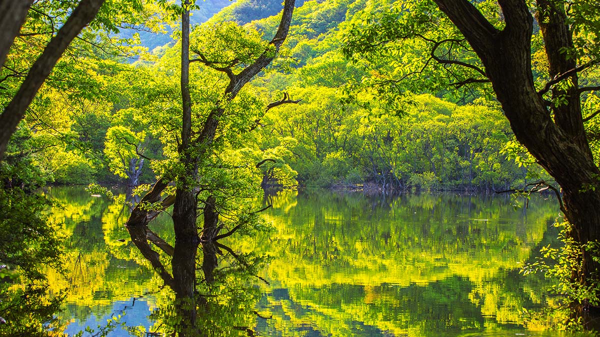 주산지