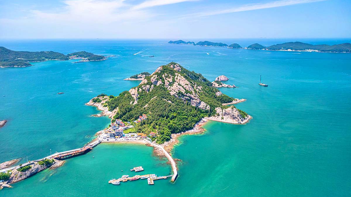 대장도