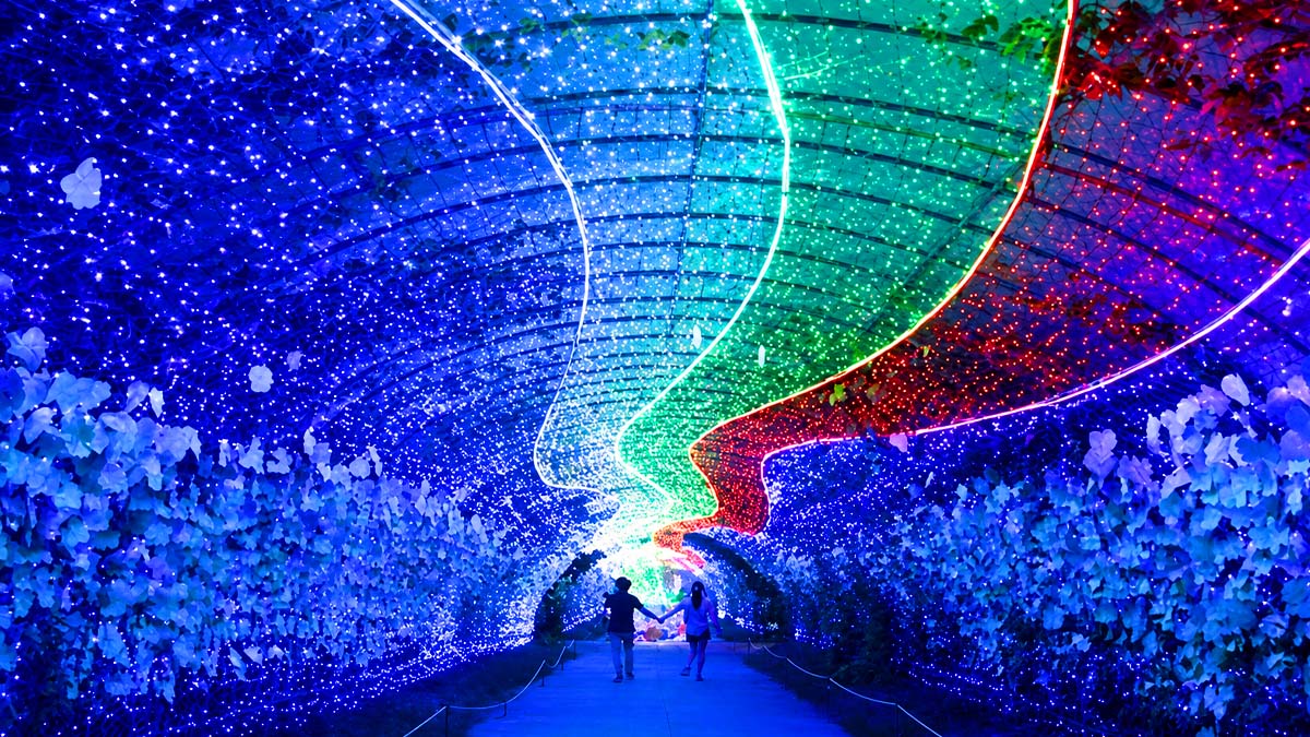 태안 빛축제 야경 터널