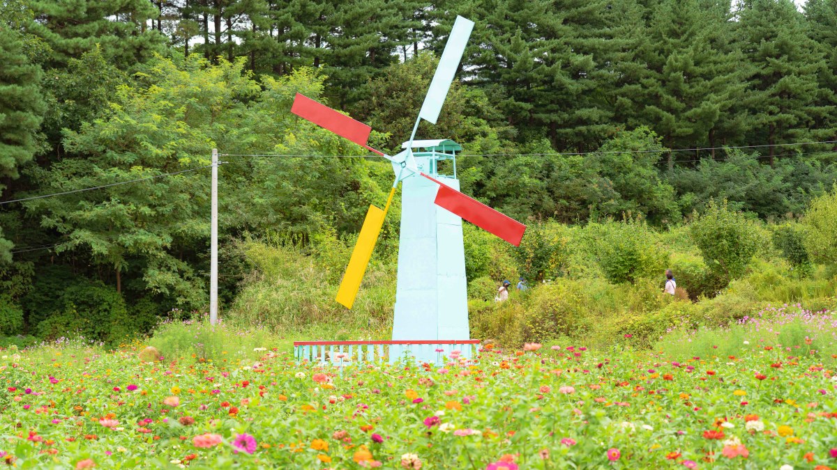 원주 용수골 가을 꽃축제 풍경 / 사잔=한국관광공사 김경기