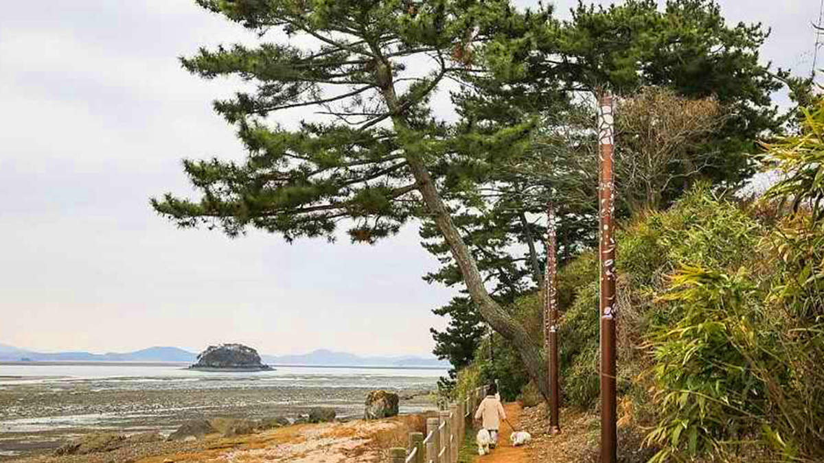 웅도 산책로 / 사진=한국관광콘텐츠랩