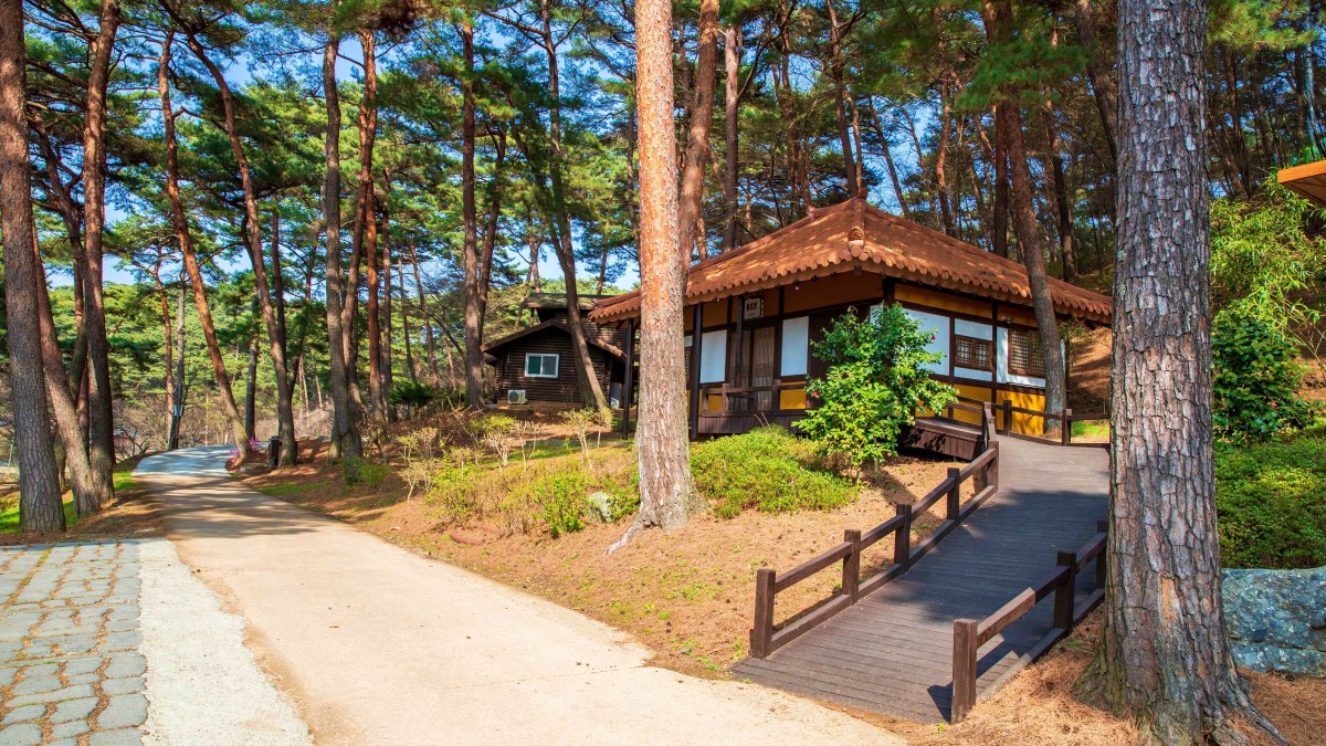 안면도자연휴양림 / 사진=한국관광공사 김지호