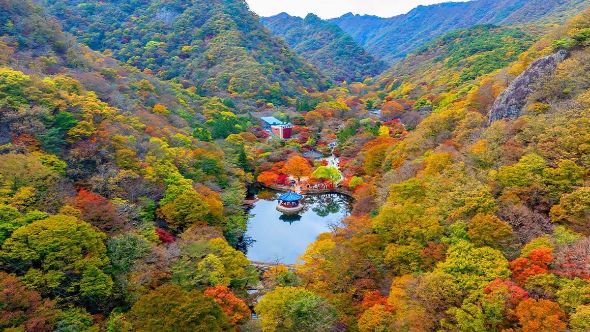 내장산국립공원