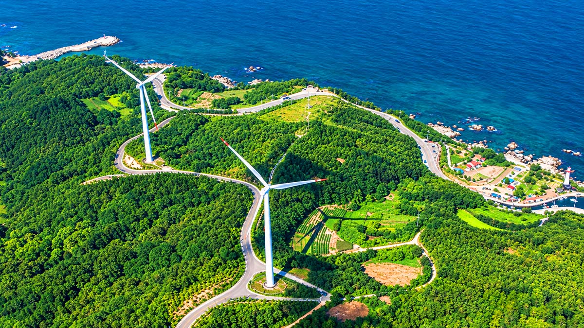 영덕 블루로드, 바다와 산을 잇는 66km 트레킹 명소