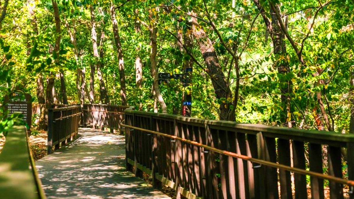 삼성산산림욕장, 아이와 부모님도 편안하게 걷는 완만한 숲길